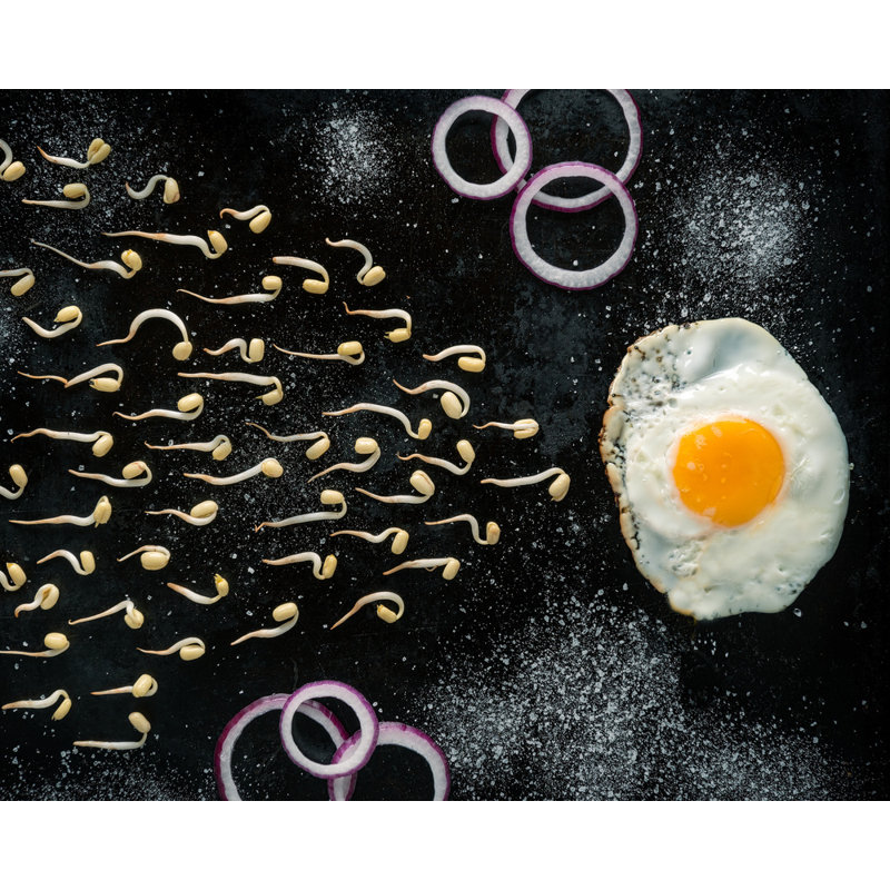 Wrapped Canvas Print, 60.96 cm H x 91.44 cm W