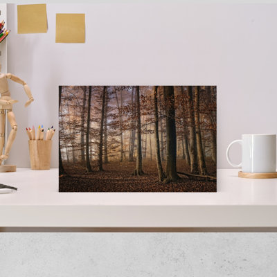 Forêt d'automne brumeuse, tableau mural rustique et paisible représentant une forêt d'automne brumeuse
