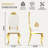 Kamien Solid Back Side Chair Dining Chair With Stainless Steel Legs-804848189-804848191