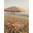 Beach Blanket-1495922525