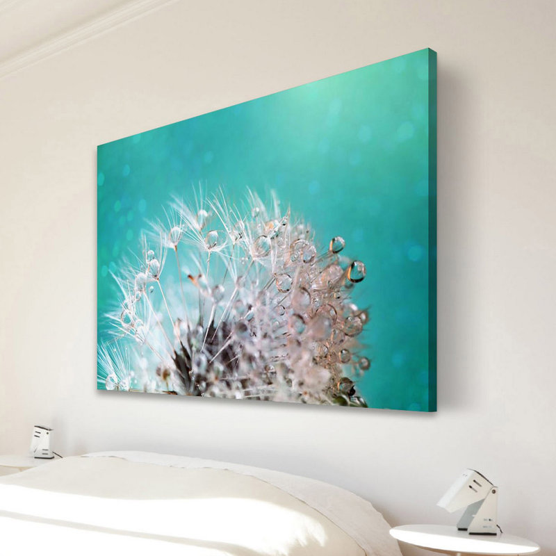 « dandelion two » par sylvia cook-reproduction de photo sur toile tendue, H 16 po x l 24 po x P 1,5 po