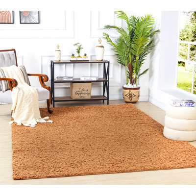 Shag Area Rug