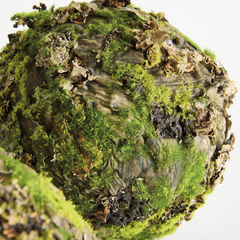 Pham MOSSY LICHEN ORBS 8" Set of 2
