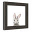 Art encadré en lapins forestières-48163435-48169568