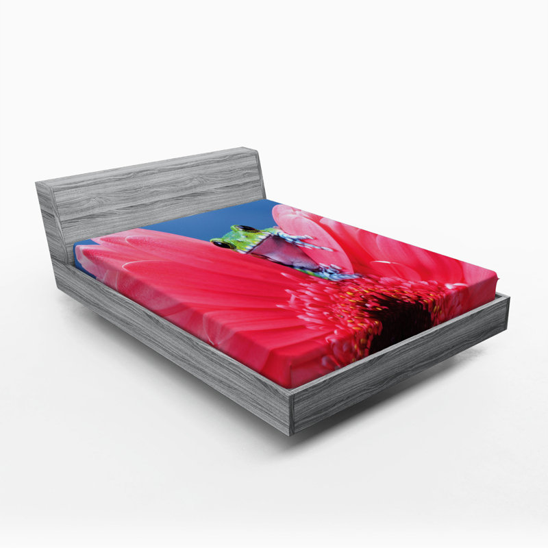 Drap ajusté animal, Double