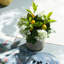 Faux Fruit and Floral Arrangement