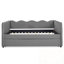 Pleine grandeur Alianna avec lit gigogne simple et port USB-715566309