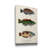 " Antique Fish Trio I "-409447069
