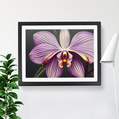 Orchid Flower - Single Picture Frame Print