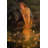 Midsummer Eve, c.1908-1060903282