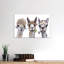 «Alpacas Trio II», reproduction de photo-52364324-52364325