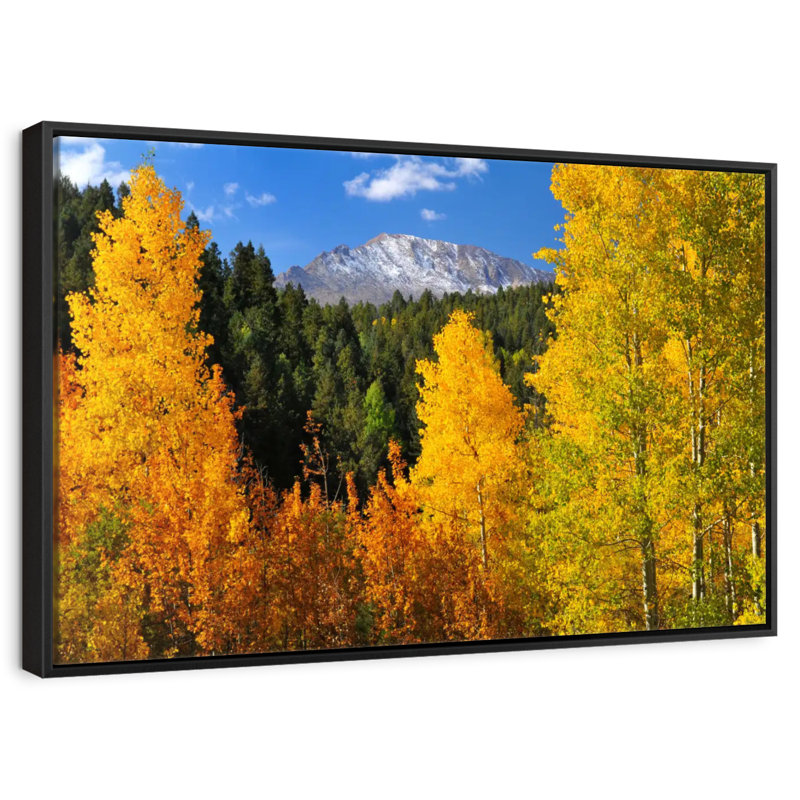 Pikes Peak en automne, Cadre flottant noir, 37 po x 25 po