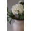 Premium Cream Snowball 33"-313542586