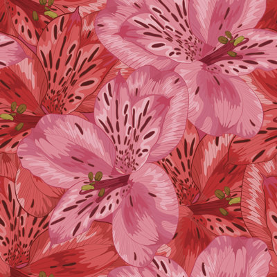 " Pink And Red Alstroemeria "