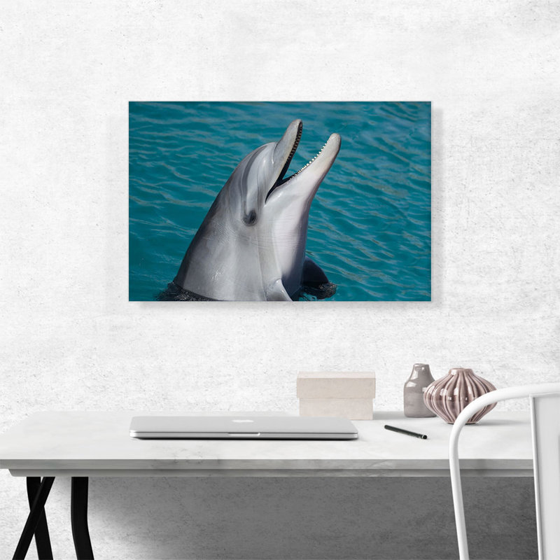 Dolphin Home Decor - Wrapped Canvas Photograph, 18" H x 26" W x 0.75" D