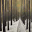 Randonnée dans la forêt, reproduction encadrée de paysages