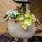 Pot Planter