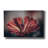 Epic Graffiti 'Elevation Bloom'  by Nathan Larson Canvas Wall Art, 60" x 40"