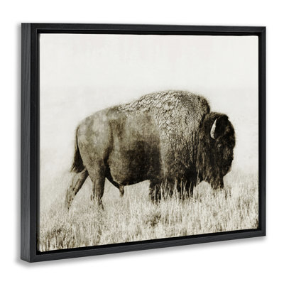 «Bison Grazing in Field» par Dan Meneely
