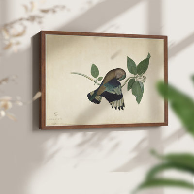 Faune rétro-XV - reproduction encadrée