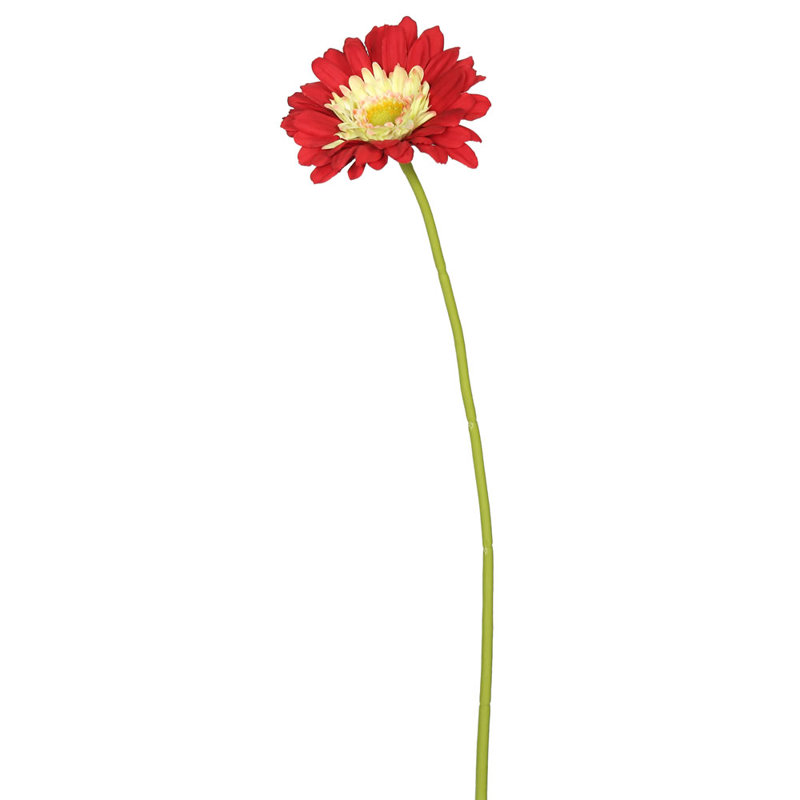 Daisy Stem, Red