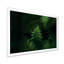 Vert feuillage tropical sur fond noir - peinture sur toile-67390542-67390554