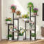 Plant Stand-1873477803