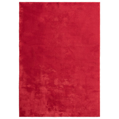 Taurasi 140cm X 200cm Area Rug