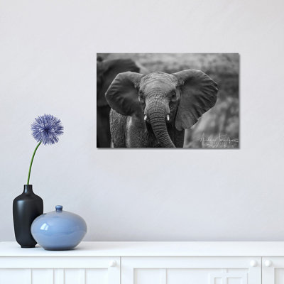 Baby Elephant by Anders Jorulf - Wrapped Canvas Print