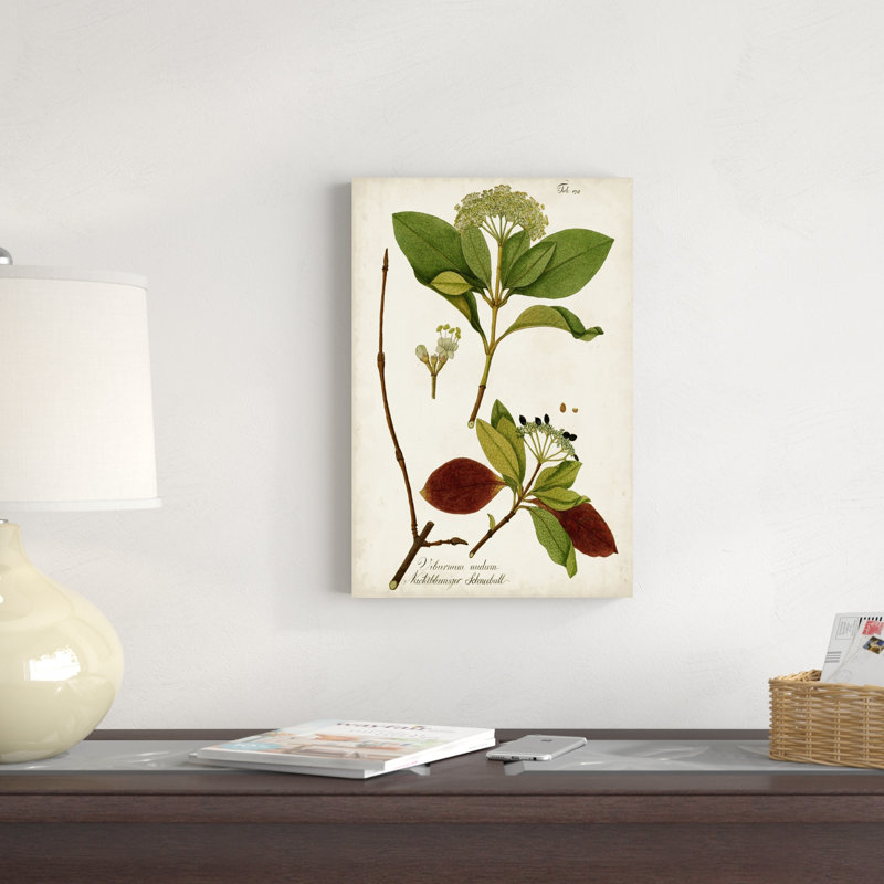Verdure antique II, H 18 po x l 12 po