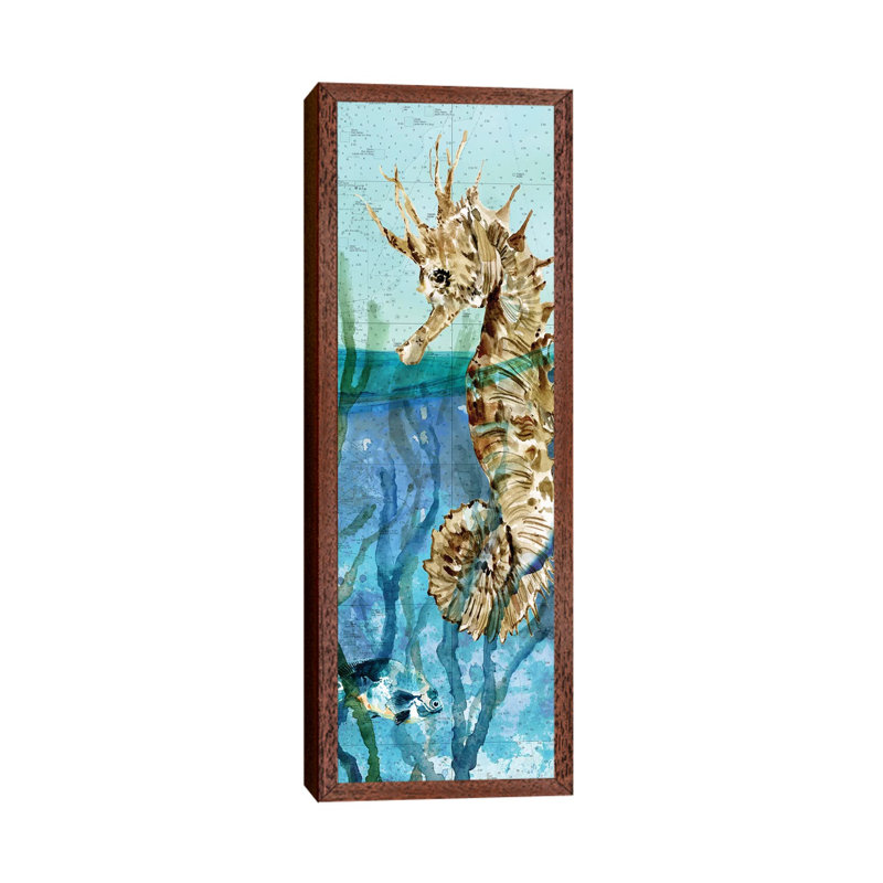 Pacific Seahorse by Carol Robinson - Panoramic Print on Canvas, Classic Brown Wood Framed, 30.48 cm H x 91.44 cm W