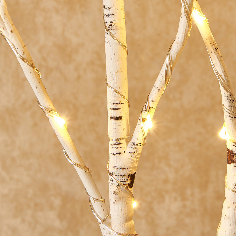 Lighted Birch Tree Branches