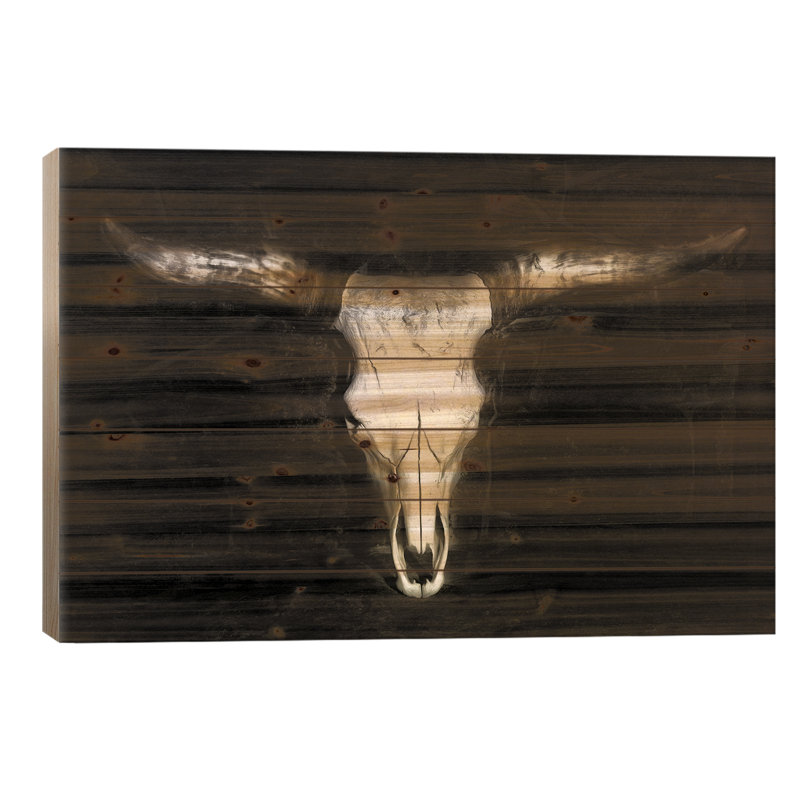 Motif crâne de vache, L 40 po x H 26 po
