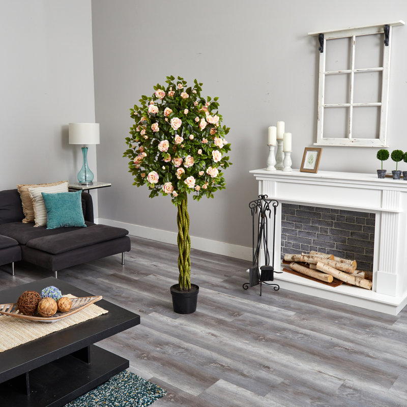Topiaire 65 po Rose Ficus