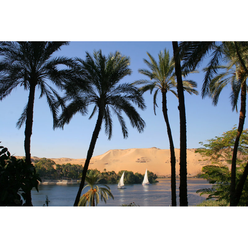 Palmiers et voiliers sur le Nil, Assouan, Égypte par Kharps, H 20 po x l 30 po