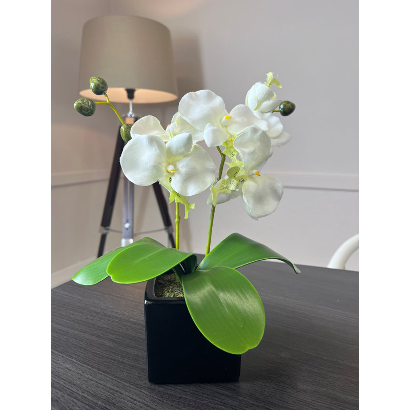 Artificial Orchid Plant in Pot