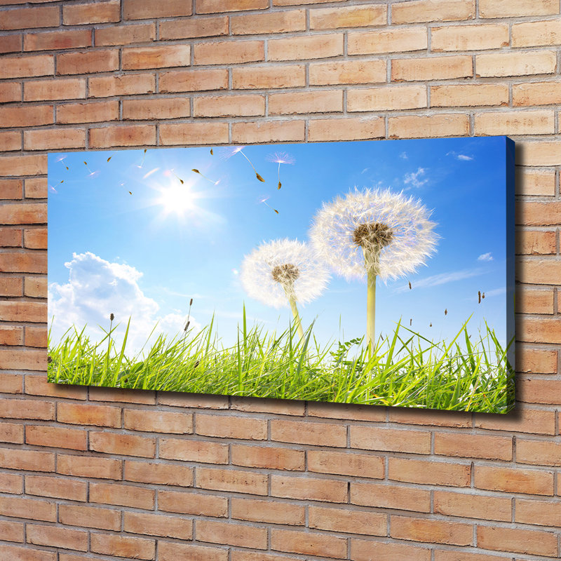 Dandelions - Wrapped Canvas Print