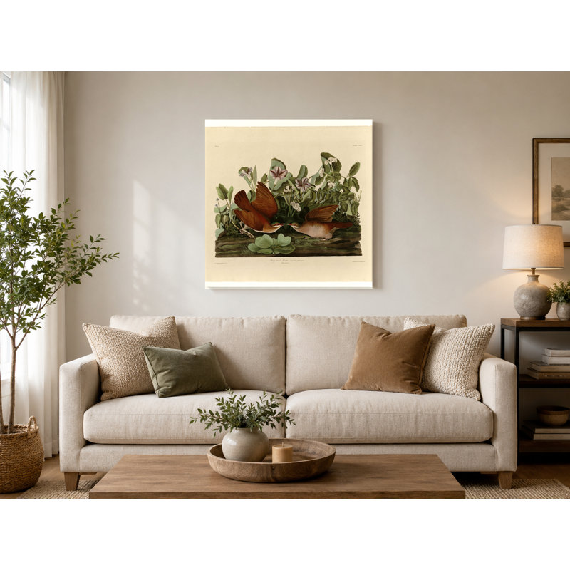 Key West Dove (plaque CLXVII) - art mural carré sur toile