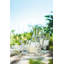 Glass Wine Glass-299885875-299885877