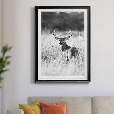 «Grasslands» par Danita Delimont - reproduction d'art sur papier encadrée