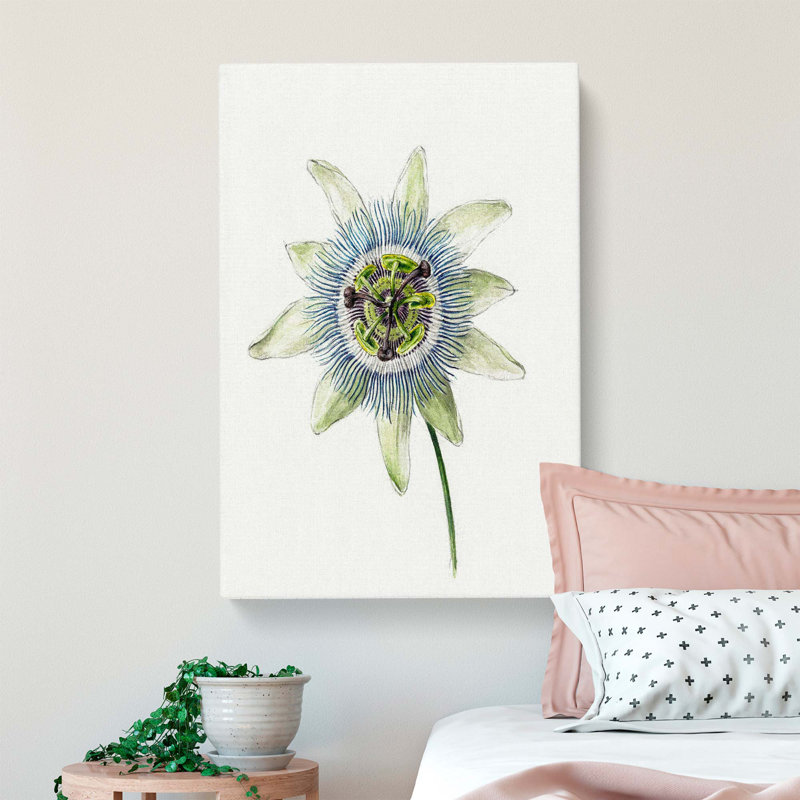 Passion Flower by Jean Bernard - Wrapped Canvas Drawing - Wrapped Canvas, 76cm H x 50cm W x 3cm D