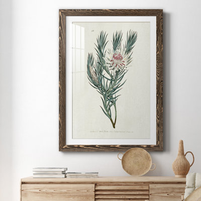 Protea N33 - Peinture encadrée
