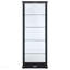 Vitrine noire à 4 tablettes-133427318