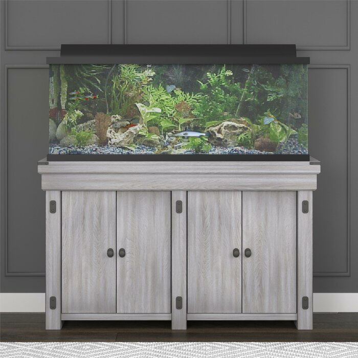 Three Posts™ Larrison Rectangle Aquarium Stand & Reviews | Wayfair