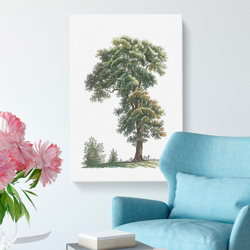 Tree Illustration by Pierre-Joseph Redoute - Wrapped Canvas Painting, 76cm H x 50cm W x 3cm D