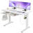 47 Inch Home Office Height Adjustable Wireless Charging Electric Standing Glass Desk, With Usb And Type-C-770256984