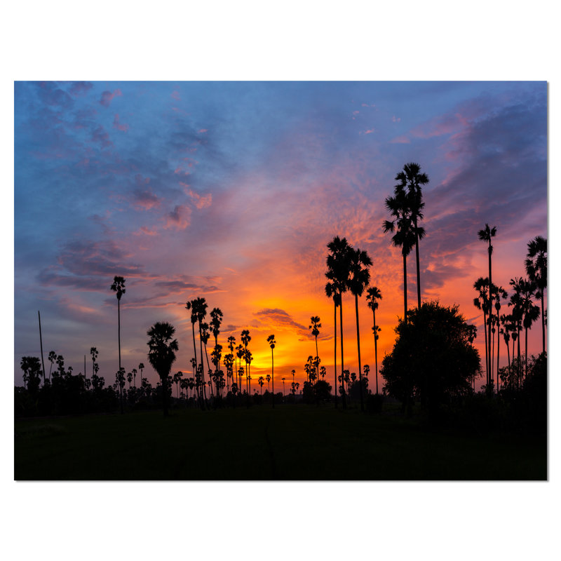 « canne palmier tree silhouette », reproduction de photo sur toile, H 20 po x l 20 po x P 1 po