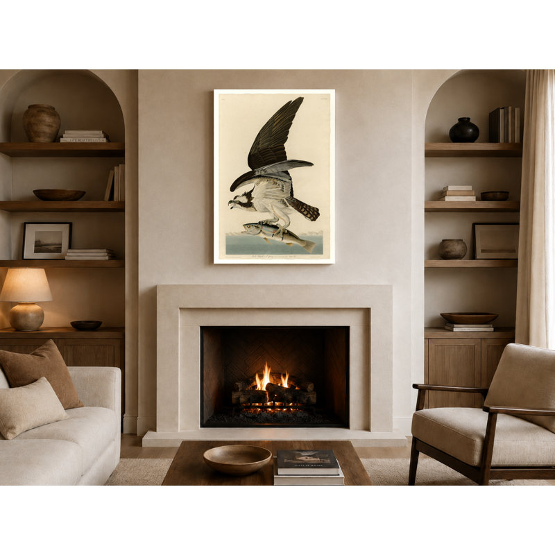 Fish Hawk or Osprey, Plate 81 (1827) - Portrait, art mural sur toile, 18" W x 12" H