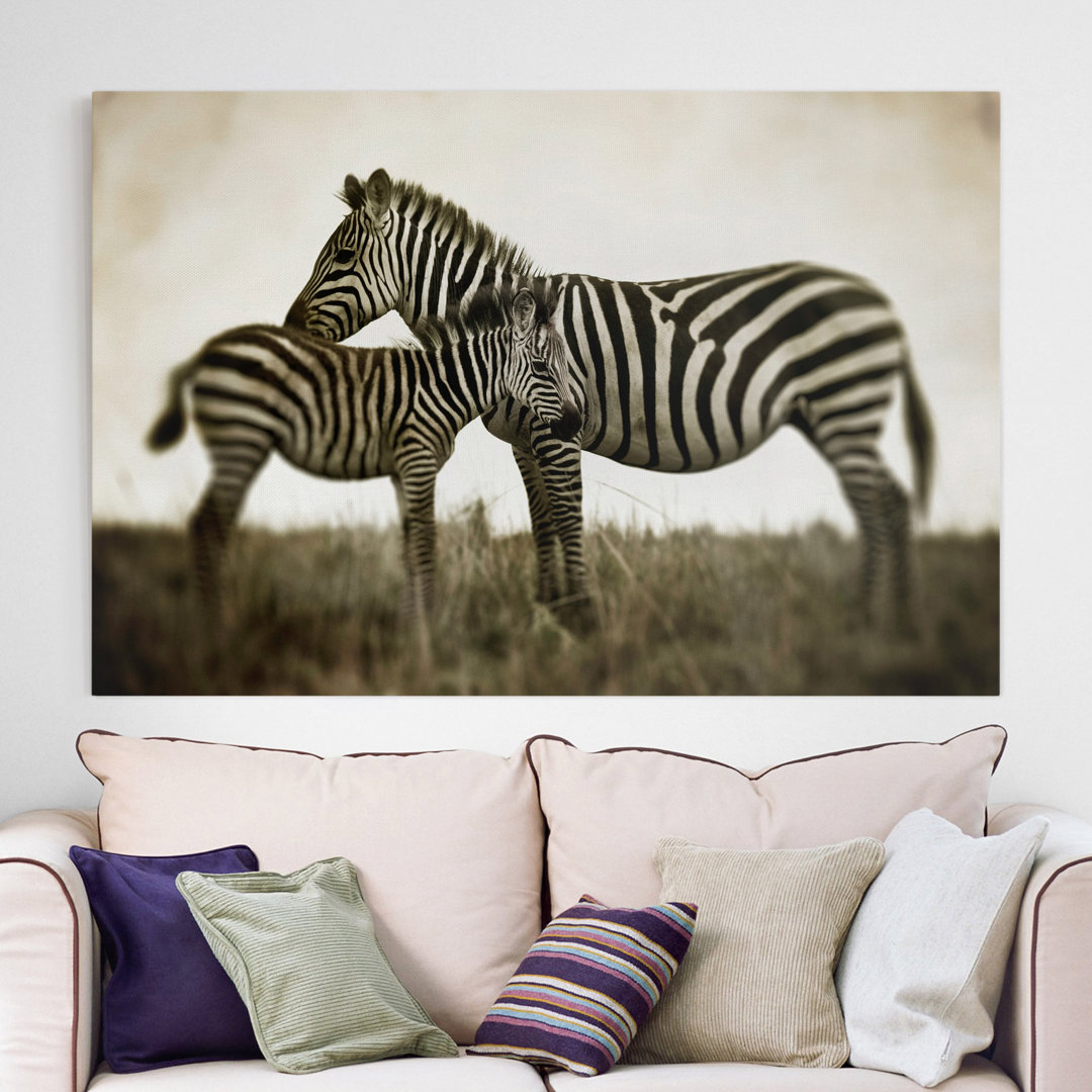 Leinwandbild Zebrapaar