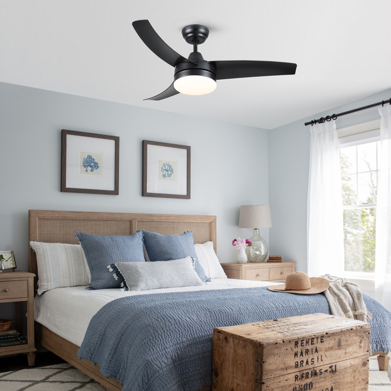 Small-CF 42'' Ceiling Fan with LED Lights, Black